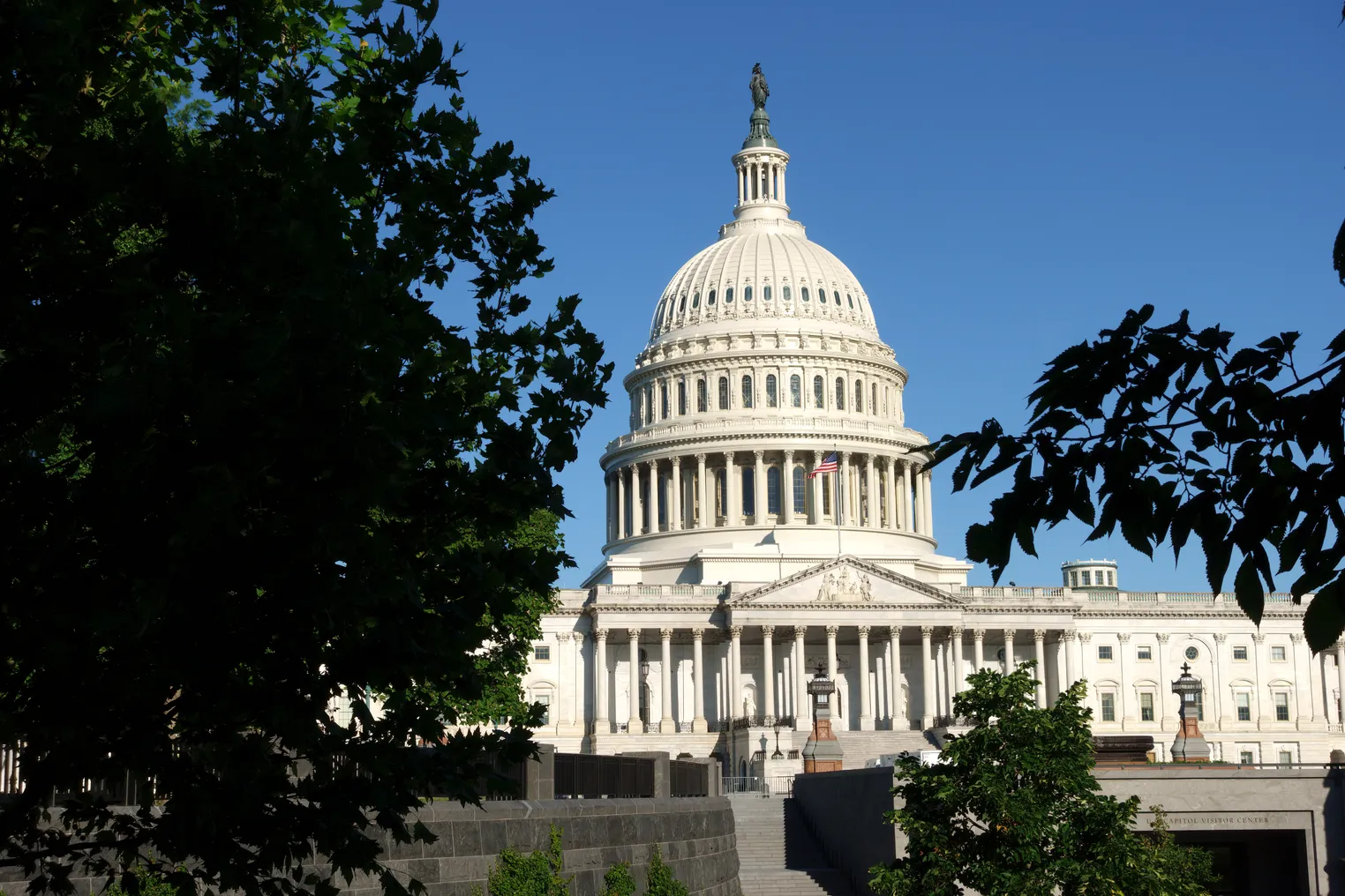 A view of the front of the U.S. Capitol building framed by green-leaf trees against a clear blue sky.